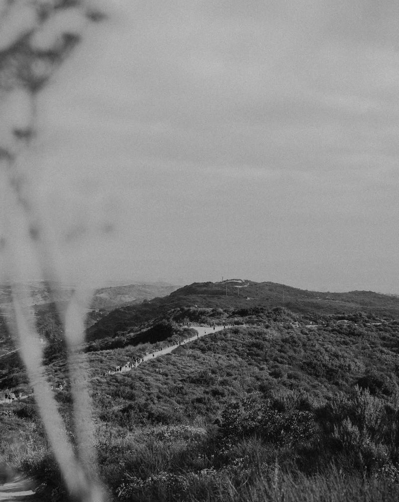 Sunday Trail